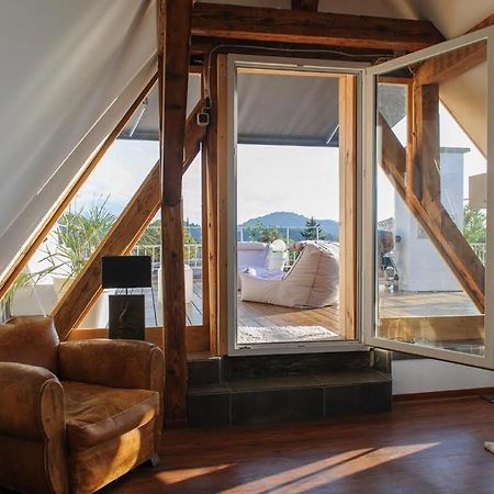 City Penthouse mit Dachterrasse Freiburg im Breisgau Eksteriør billede