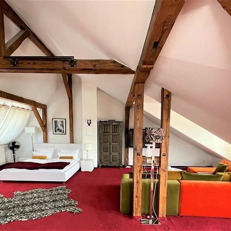 City Penthouse mit Dachterrasse Freiburg im Breisgau Eksteriør billede