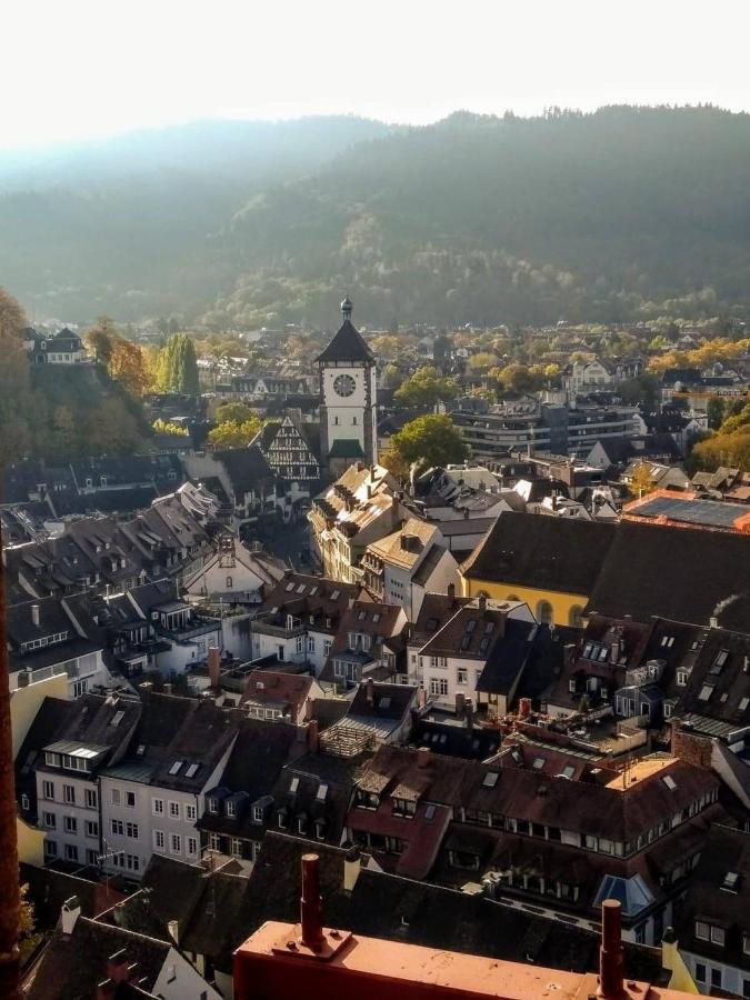 City Penthouse mit Dachterrasse Freiburg im Breisgau Eksteriør billede