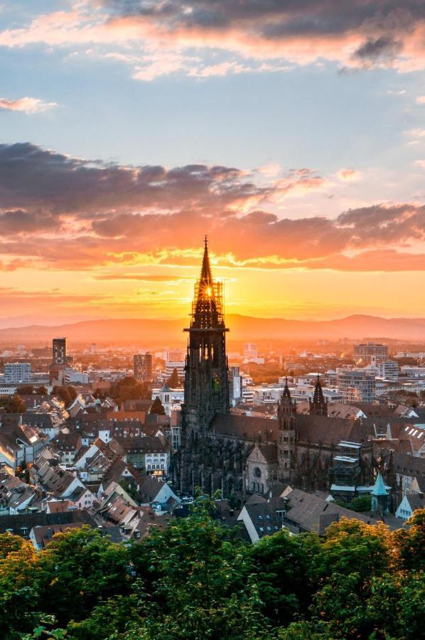 City Penthouse mit Dachterrasse Freiburg im Breisgau Eksteriør billede