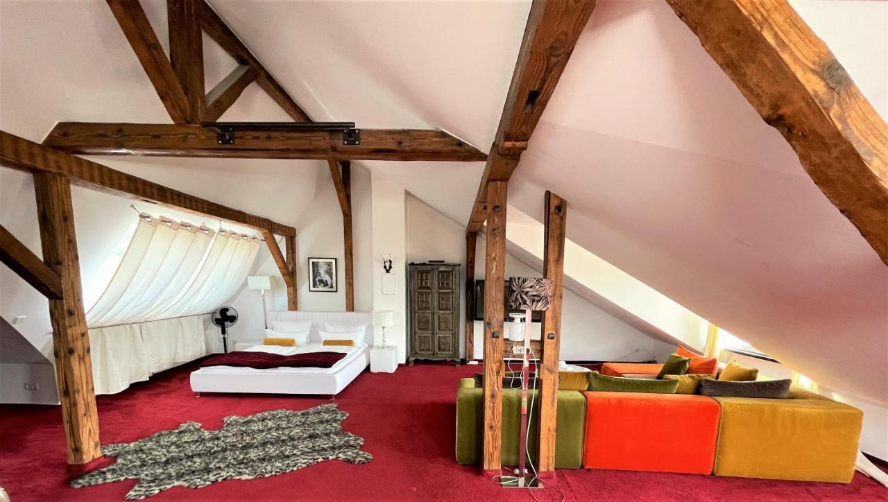 City Penthouse mit Dachterrasse Freiburg im Breisgau Eksteriør billede