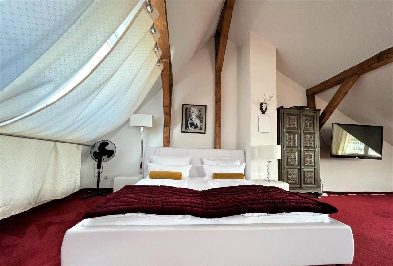 City Penthouse mit Dachterrasse Freiburg im Breisgau Eksteriør billede