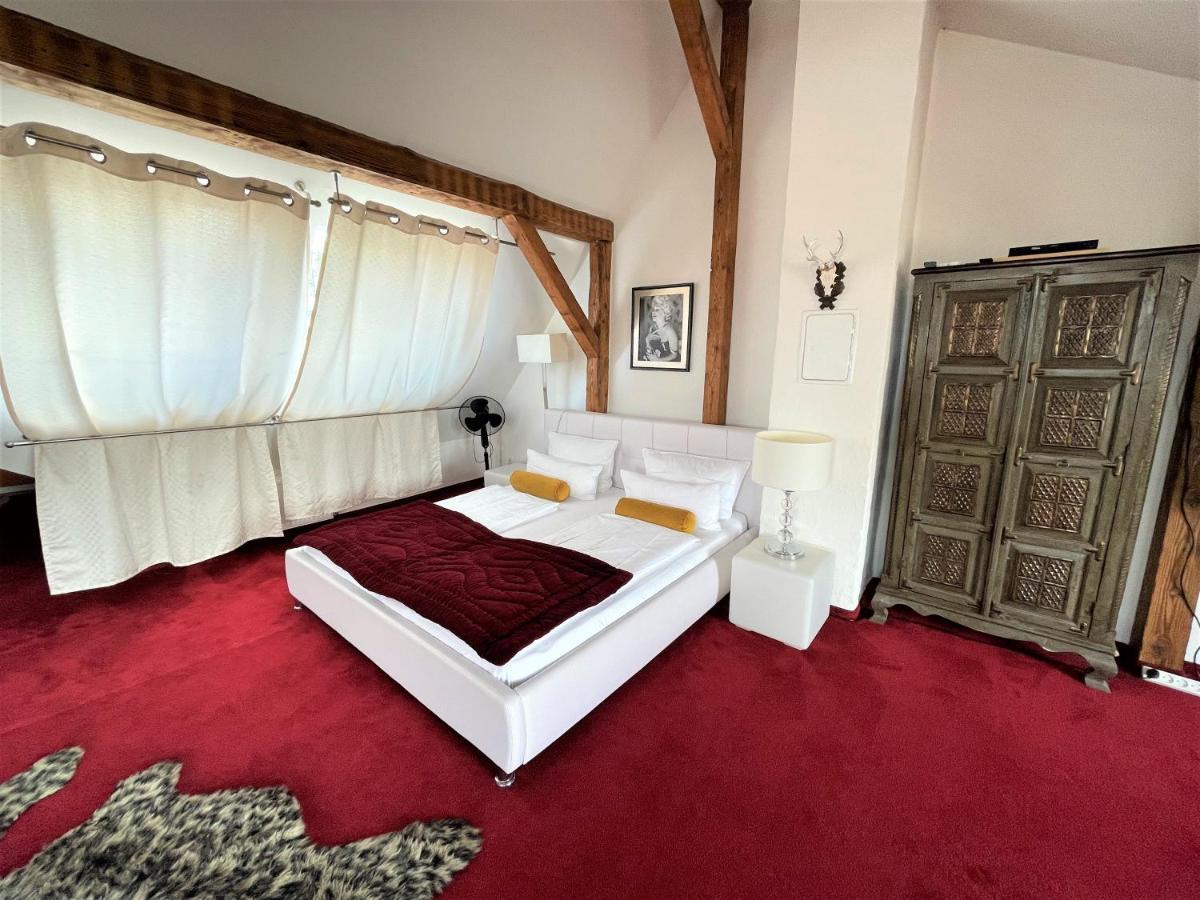 City Penthouse mit Dachterrasse Freiburg im Breisgau Eksteriør billede